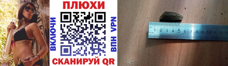 ГАШ Premium  где продают   Щёкино 