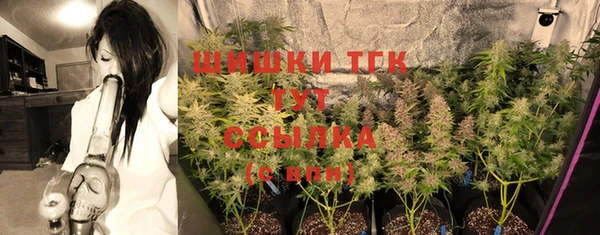 mdpv Ельня
