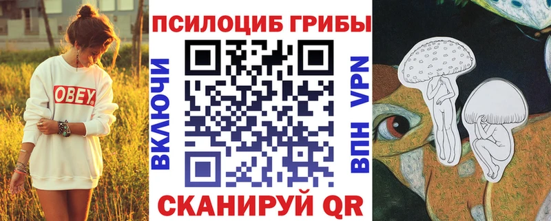 МЕГА ссылка  Щёкино  Псилоцибиновые грибы Magic Shrooms 